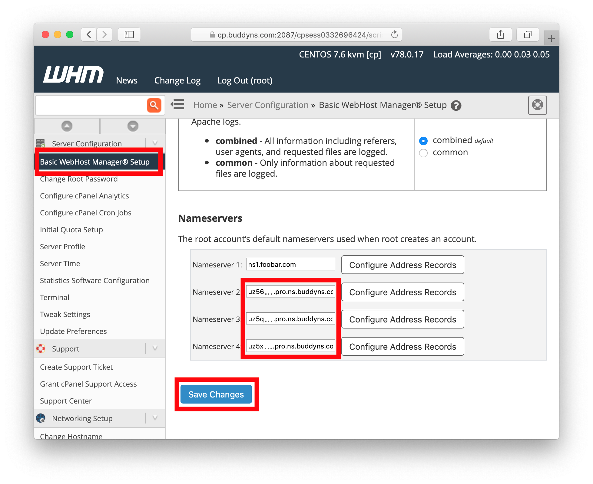 BuddyNS cPanel plugin page